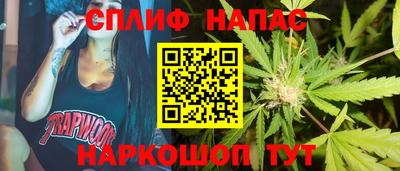 PSILOCYBIN Заволжье