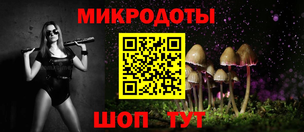 Междуреченск  Галлюциногенные грибы Cubensis  Галлюциногенные грибы прущие грибы  Вход с VPN 